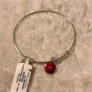 Alex and Ani Bracelet